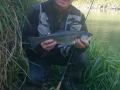 44cm RF mit Fliege
