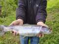 IMG-20200501-WA0019