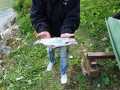 IMG-20200501-WA0021