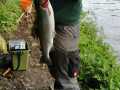 IMG-20200501-WA0022