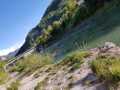 IMG-20200501-WA0027