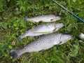 IMG-20200502-WA0011