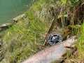 IMG-20200506-WA0000