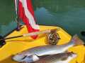 IMG-20200916-WA0001
