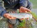 IMG-20210518-WA0003