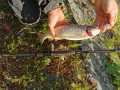 IMG-20210518-WA0004