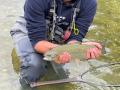 IMG-20210713-WA0001