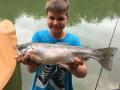 IMG-20210717-WA0000