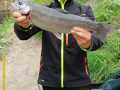 IMG-20220504-WA0001