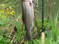 IMG-20230502-WA0001