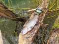 IMG-20230502-WA0002