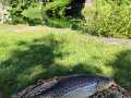 IMG-20240617-WA0000