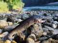 IMG-20260622-WA0005
