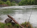 IMG_20200501_061635