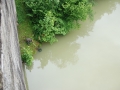 DSC_4132.jpg