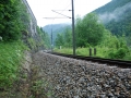 DSC_4188.jpg