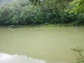 DSC_4200.jpg