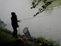 DSC_4201.jpg