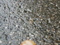 DSC_4207.jpg