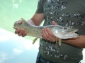 DSC_5233.JPG