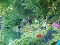 Fischen-Juni 2013-11.jpg