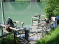 Fischen-Juni 2013-46.jpg