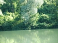 DSC_7727.JPG