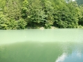 DSC_7764.JPG