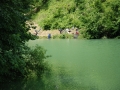 DSC_7765.JPG