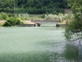 DSC_7779.JPG
