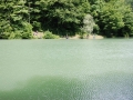 DSC_7780.JPG