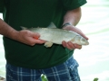 DSC_7848.JPG