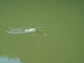 09.06.19-59