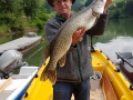80 cm Hecht