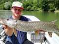 IMG-20200603-WA0006