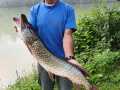 IMG-20200809-WA0000