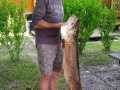 118 Cm 14,8 KG