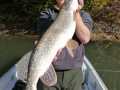 Hecht 80 cm