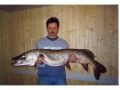 hubertmitfisch2.jpg