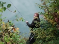 Herbstfischen_2015-16