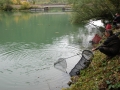 Herbstfischen_2015-98