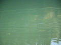 Herbstfischen-2011-43.JPG