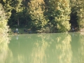 Herbstfischen-2011-46.JPG