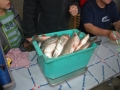 Herbstfischen_2012- (185).jpg