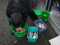 Herbstfischen_2012- (197).jpg
