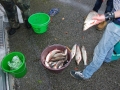 Herbstfischen_2012- (210).jpg