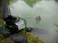 Herstfischen_2012- (16).jpg