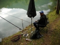 Herstfischen_2012- (51).jpg