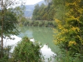 Herstfischen_2012- (6).jpg