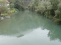 DSC01331.JPG